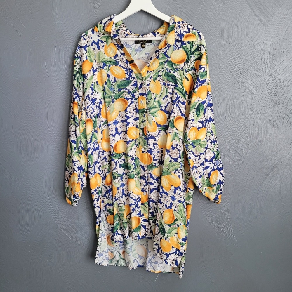 PARK & MAIN Top Size 1X Lemon Print Long Sleeve Tunic Collared Button Up